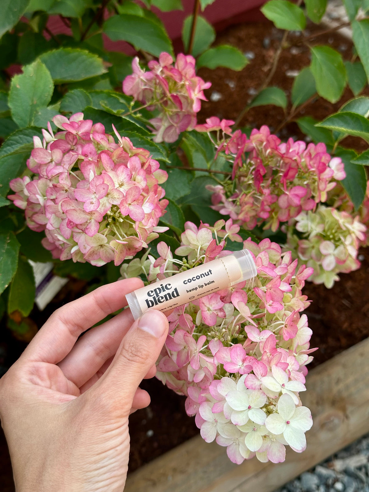 Coconut Lip Balm