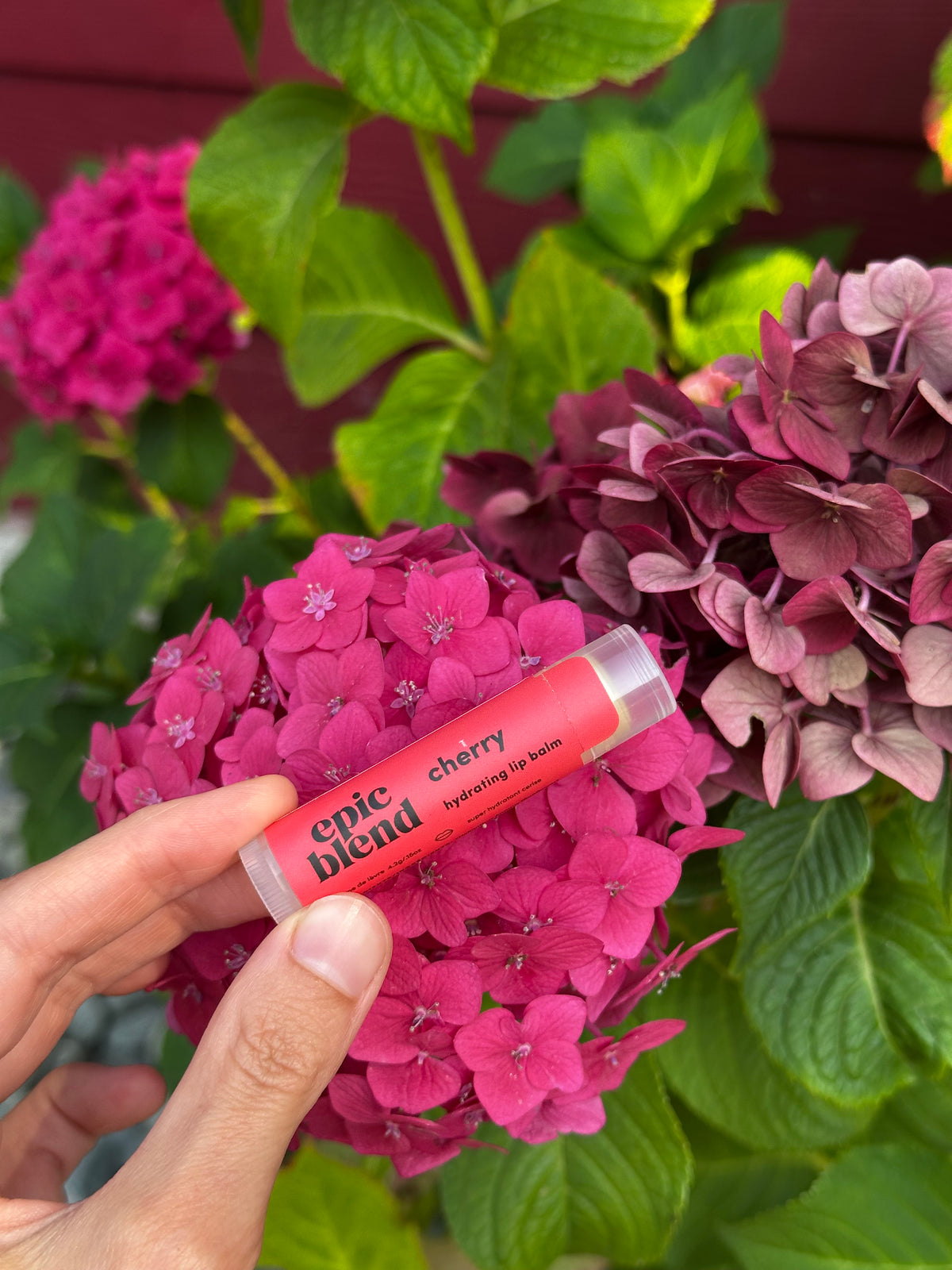 Cherry Lip Balm